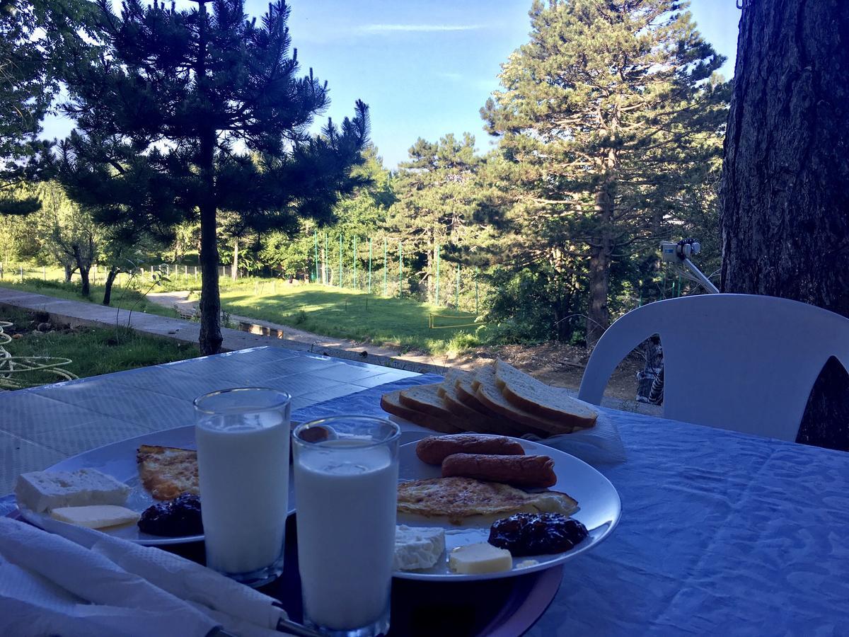 Shkreli Qafeshtame 4*